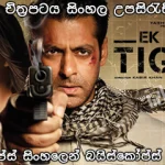 Ek Tha Tiger (2012) Sinhala subtitle