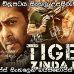 Tiger Zinda Hai (2017) Sinhala subtitle