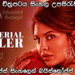 Mrs. Serial Killer (2020) Sinhala Subtitle