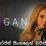 M3GAN (2022) with Sinhala subtitle
