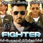 Fighter (2024) Sinhala subtitles