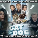 Cat and Dog (2024) Sinhala subtitle