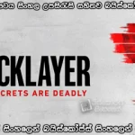 The Bricklayer (2023) Sinhala subtitles