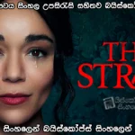The Strays (2024) Sinhala subtitle
