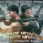 Bade Miyan Chote Miyan (2024) With Sinhala Subtitles