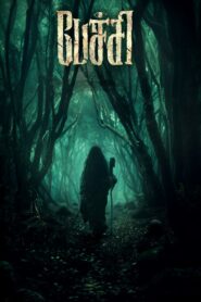 Pechi (2024) කඳුකරයේ ඝාතන රැල්ල