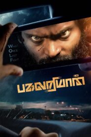 Pagalariyaan (2024) දෛවයේ සරදම්