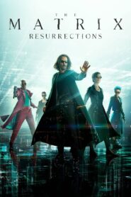 The Matrix Resurrections (2021) තේරීම ඔබගේ ය