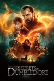 Fantastic Beasts: The Secrets of Dumbledore (2022) ලේ බැම්මක සැඟවුණ රහස