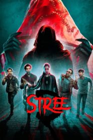 Stree 2 (2024) සර්කටාගේ විනාශය