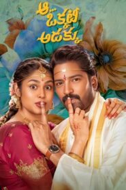 Aa Okkati Adakku (2024) රැවටිමක්