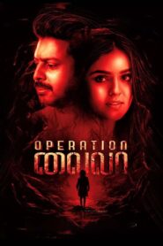 Operation Laila (2024) ලයිලට මොකද වුනේ…?