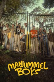 Manjummel Boys (2024) මෙන්න නියම මිතුරෝ.!