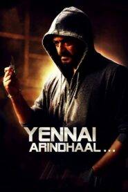 Yennai Arindhaal (2015) මාව දන්නෙහි නම්
